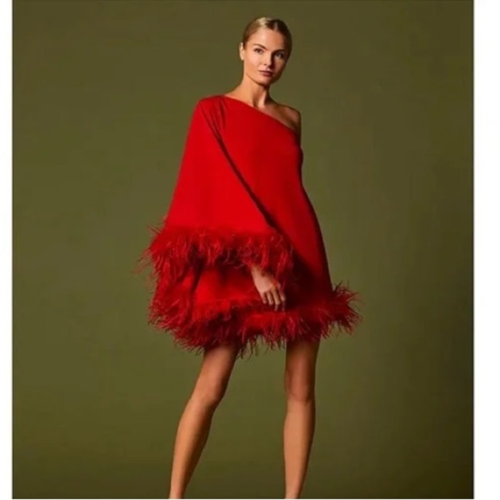 Antonio Melani Cosima One Sleeve Asymmetrical Neckline Feather Trim Dress NWOT